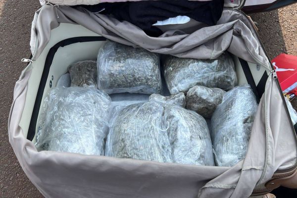 Passageira de ônibus é presa com 19 kg de maconha no oeste do Paraná