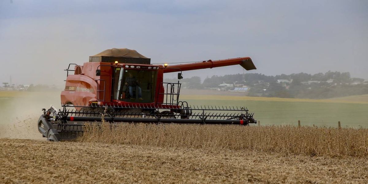 Com 46,3 milhões de toneladas, safra 22/23 do Paraná alcançou volume recorde