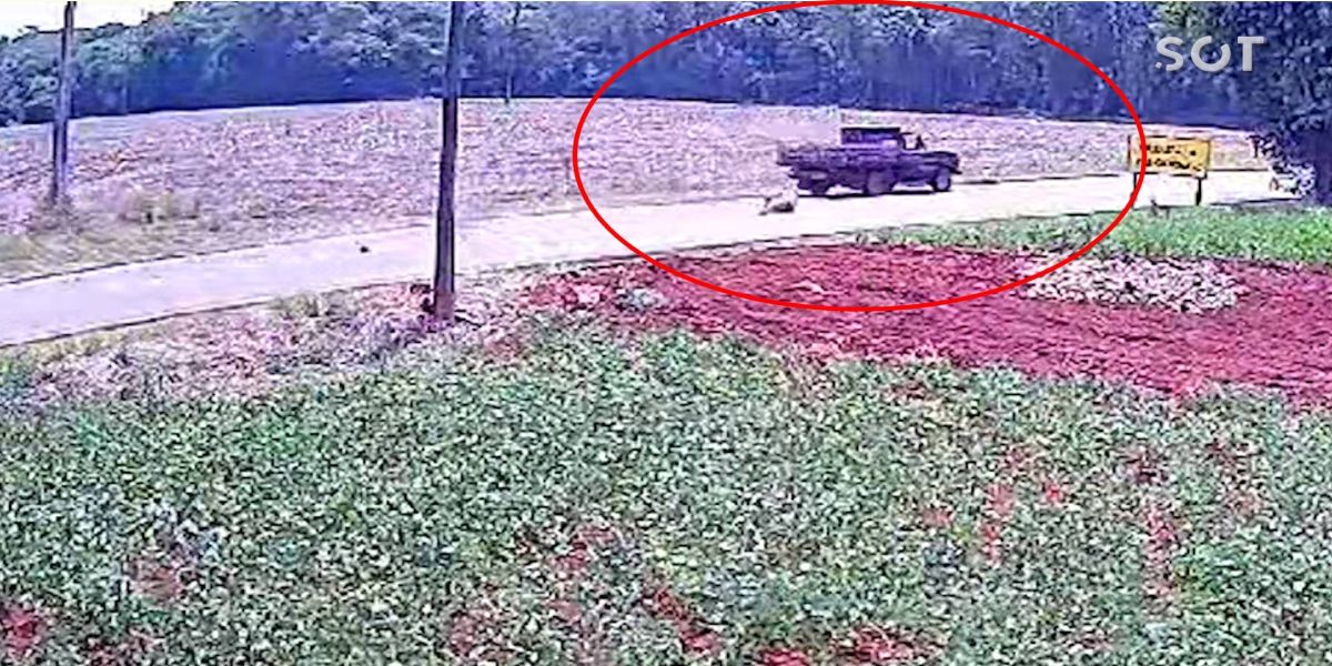 Homem é atropelado por carro na PR-495 após comportamento agressivo