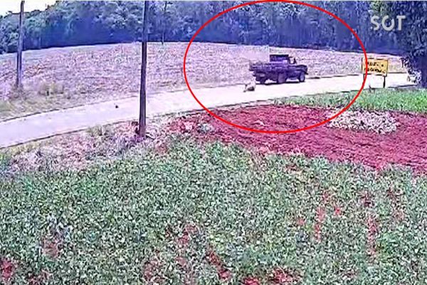 Homem é atropelado por carro na PR-495 após comportamento agressivo