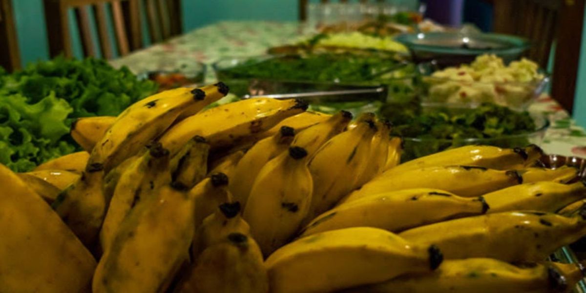 Projeto de Lei propõe mecanismos de apoio à transição agroecológica no Paraná