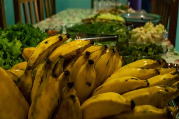 Projeto de Lei propõe mecanismos de apoio à transição agroecológica no Paraná