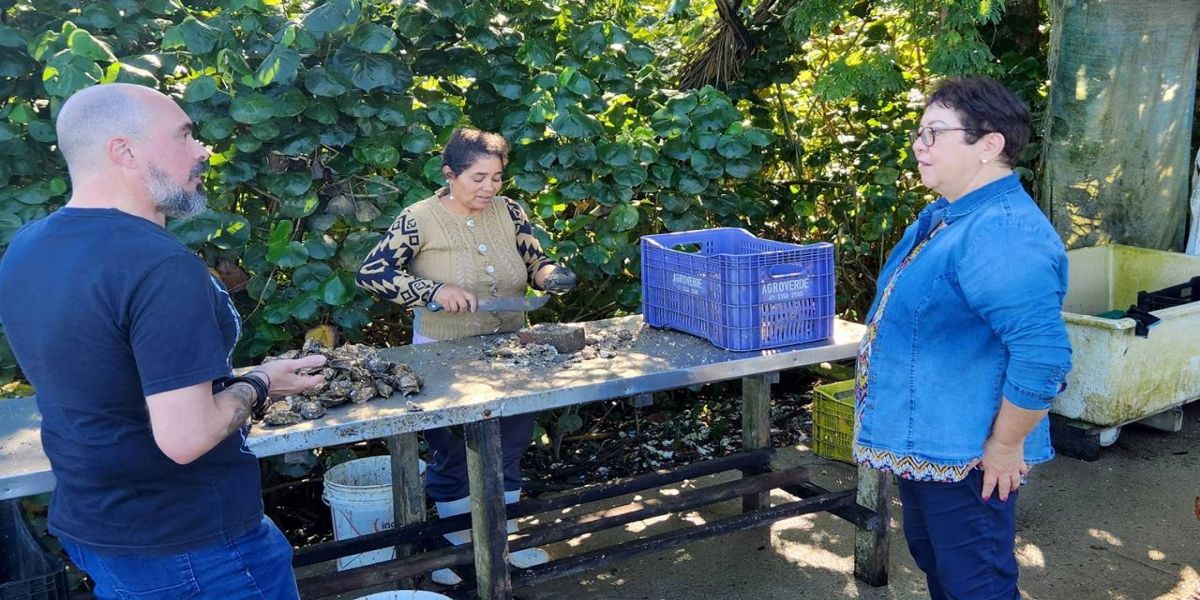 Paraná prepara ações de inclusão social para cidadãos com foco na cidadania