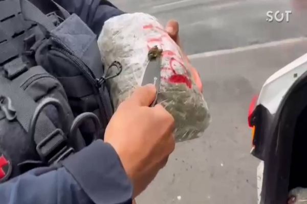 PRF apreende quase 350 quilos de Maconha, 52,12 kg de skunk e recupera veículo roubado na BR-277