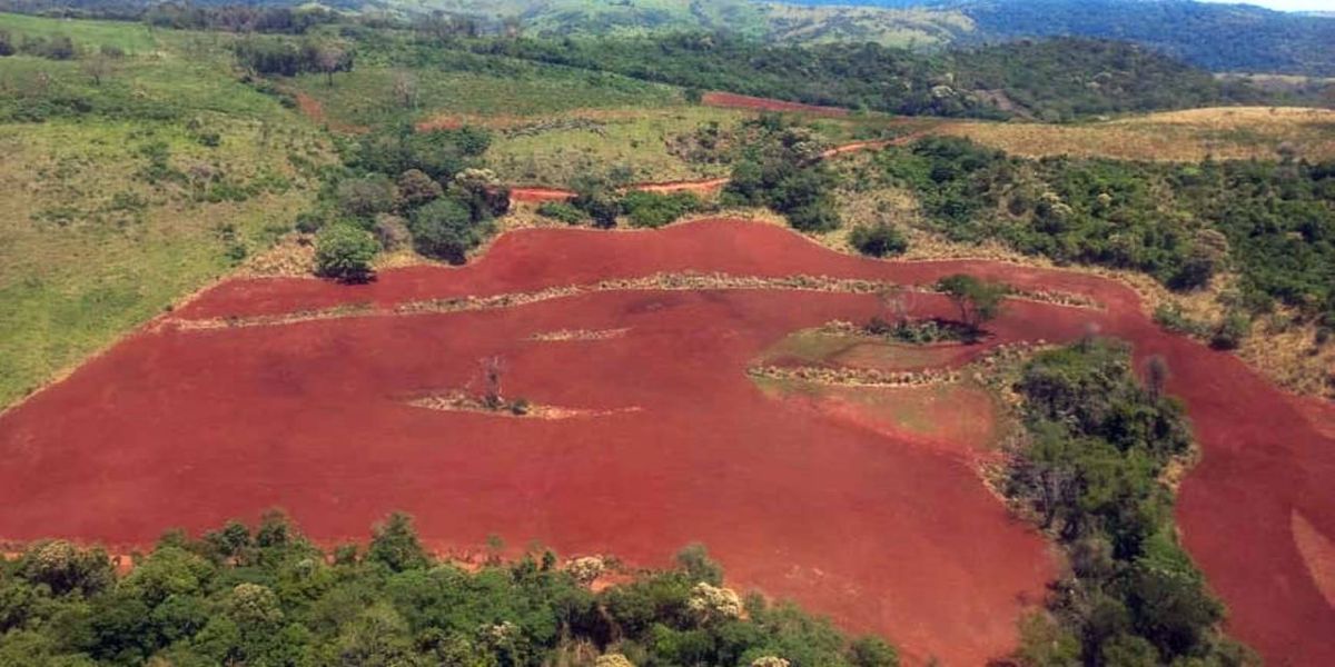 IAT aplica R$ 1,6 milhão em multas por desmatamento ilegal na região Oeste em setembro