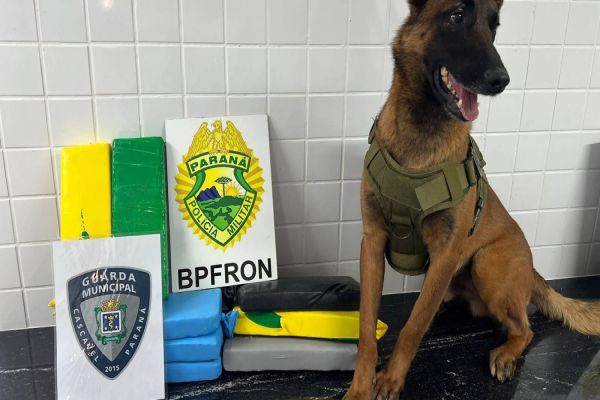 BPFRON e Guarda Municipal apreendem Ônibus com drogas na Rodoviária de Cascavel