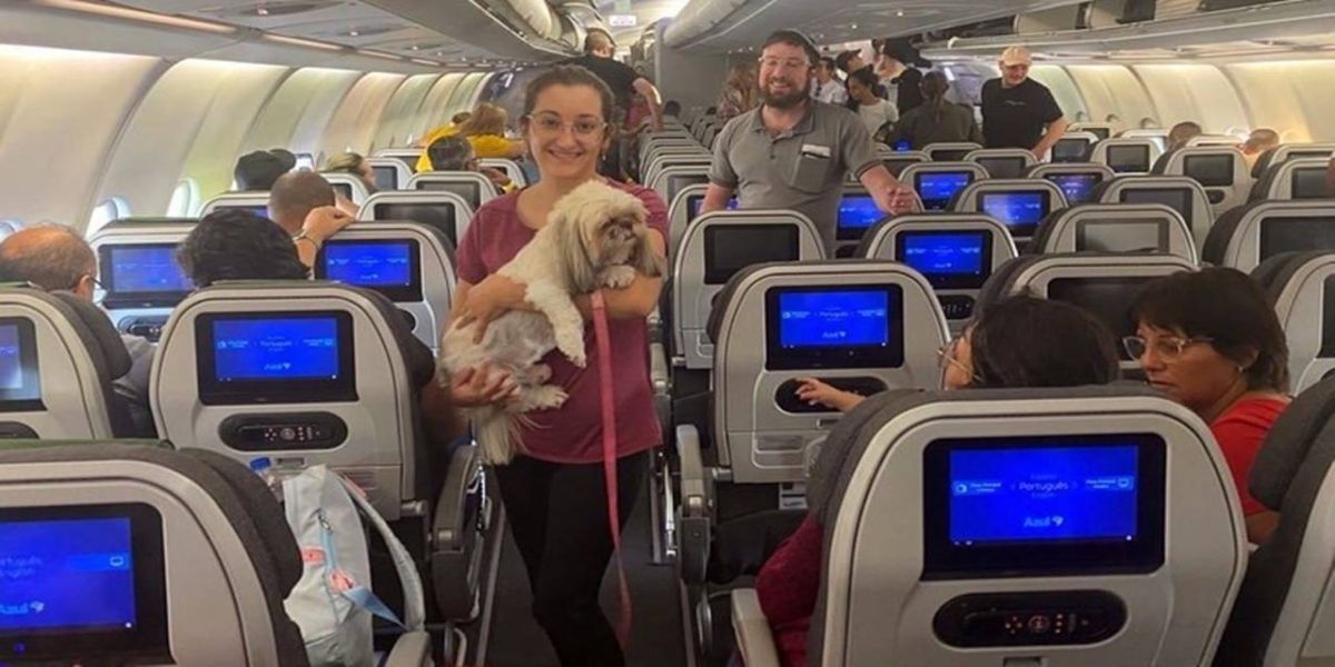Segunda aeronave com brasileiros decola de Israel com 214 brasileiros, um cachorro e três gatos