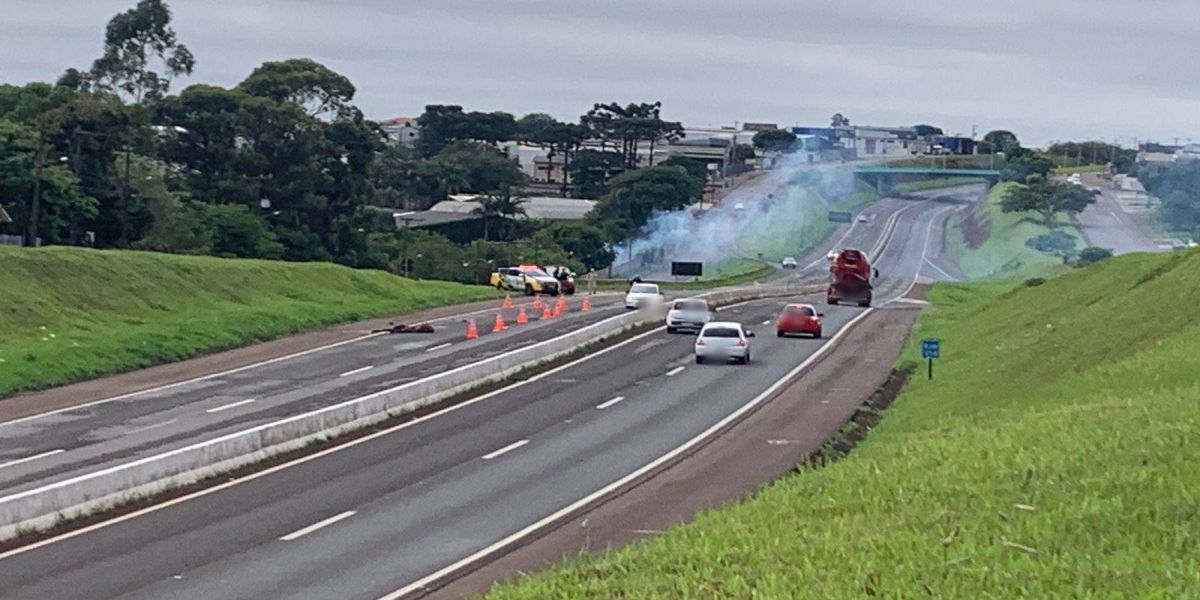 Cavalos soltos morrem atropelados, na BR-467, em Cascavel
