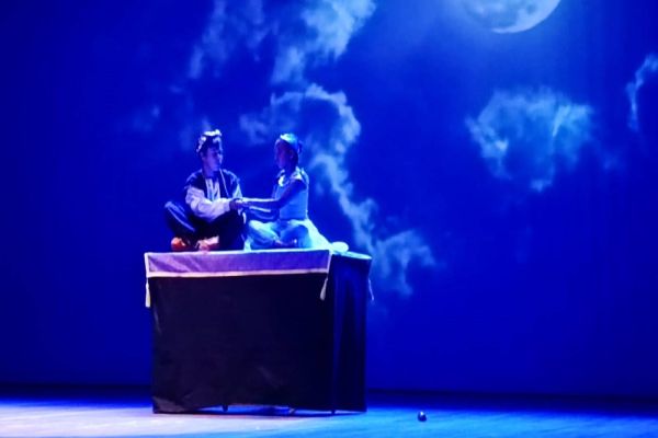 Peça teatral da Apae de Cascavel fica em 1º lugar no “Nossa Arte”