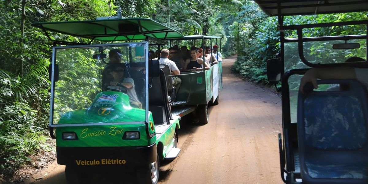 Setor de serviços cresce 11,8% no Paraná de janeiro a agosto, melhor desempenho do Sul