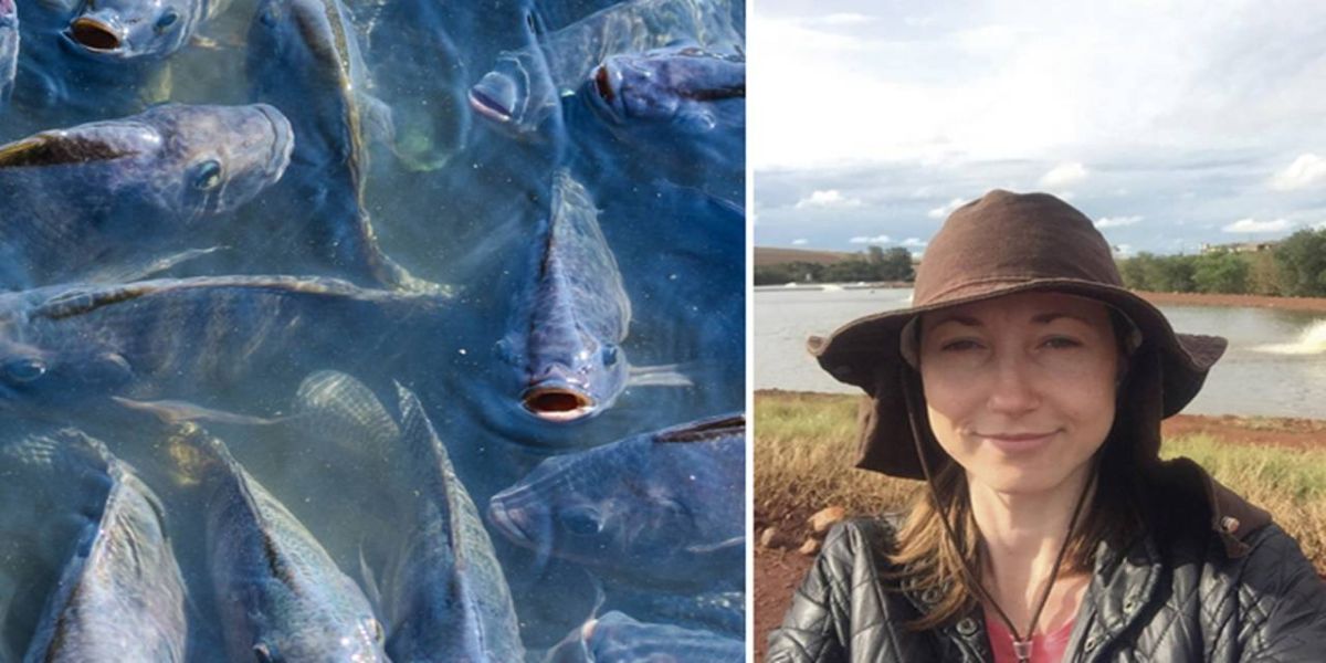 Sindicato de Nova Aurora auxilia produtora no retorno à atividade rural