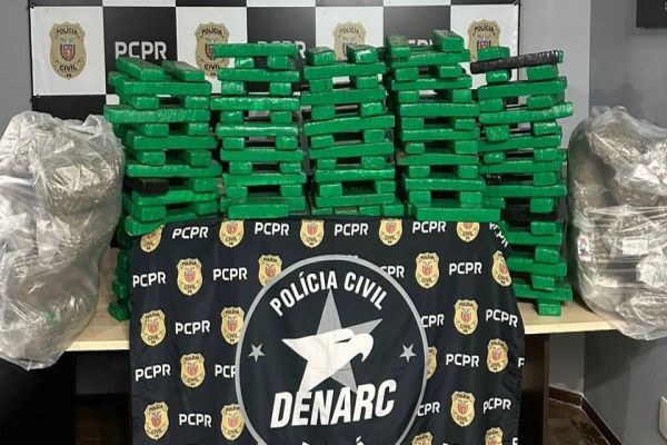 Imagem referente a notícia: Denarc Cascavel apreende 233 quilos de maconha e 20 quilos de capulho na BR-369 em Ubiratã