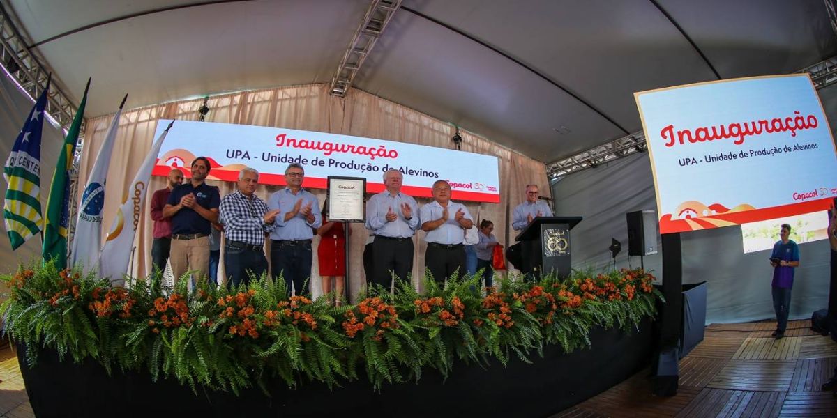 Com tecnologia israelense, líder brasileira em tilápias dobra a produção de alevinos com menos água