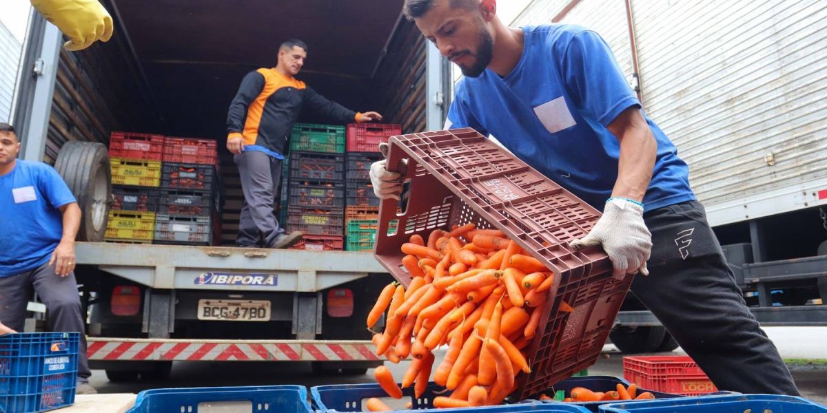 Ceasa-PR envia mais de 25 toneladas de alimentos para cidades afetadas pelas chuvas