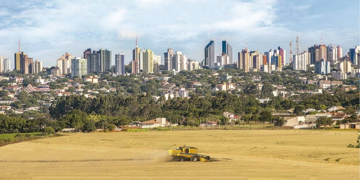 Referência: Incubada da Fundetec irá certificar produção de sementes