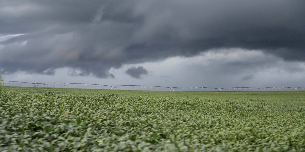 Estado e municípios levantam os efeitos da chuva nas lavouras e estradas rurais