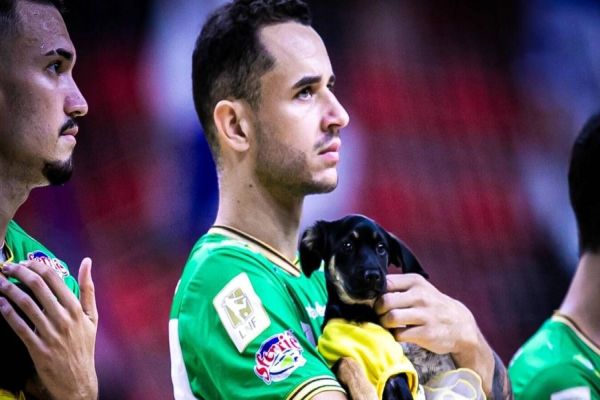 Ação em partida de futsal chamou a atenção sobre adoção responsável de animais