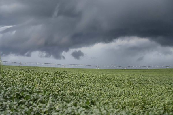 Estado e municípios levantam os efeitos da chuva nas lavouras e estradas rurais