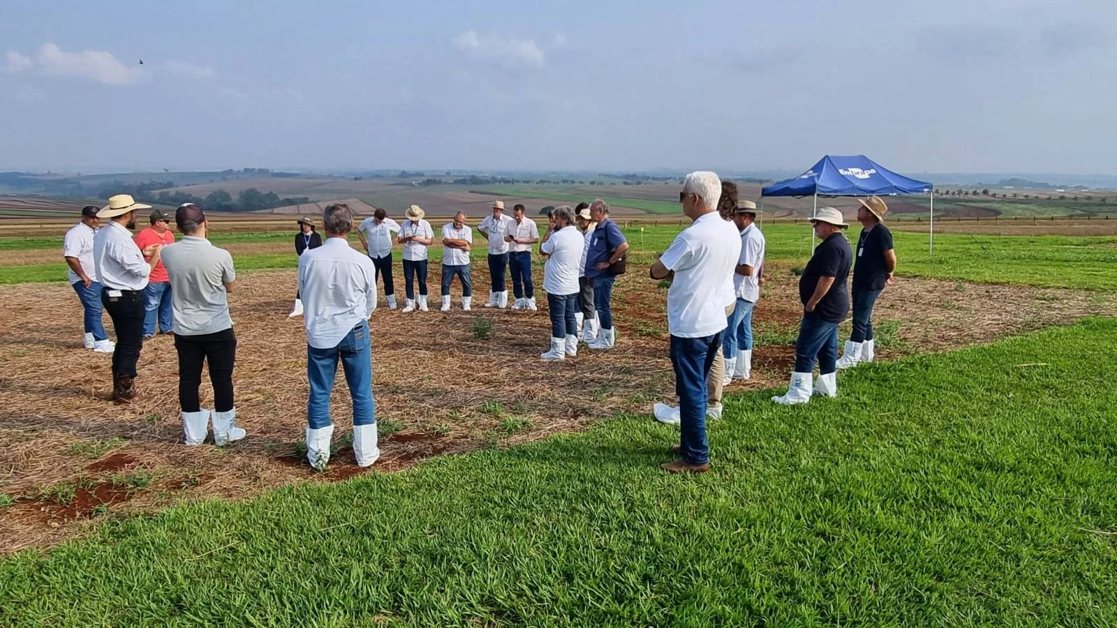 Foto relacionada a notícia: Produtores que adotam manejo integrado de pragas reduzem em 53% o uso de inseticidas