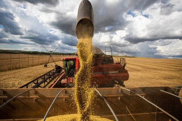 Categoria Grãos é uma das novidades da 8ª edição do prêmio Quem é Quem da Gessulli