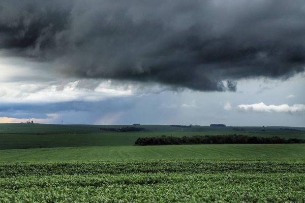 Chuvas acima das médias impactam produção agropecuária paranaense