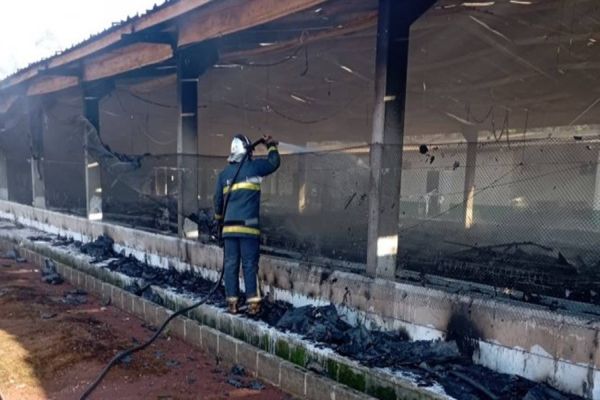 Incêndio em aviário causa a morte de aves no interior de Santa Helena
