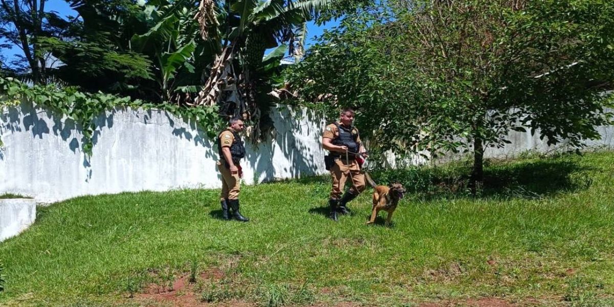 Cães de Faro do BPRV recebem certificação para detecção de entorpecentes e armas no Oeste do Paraná