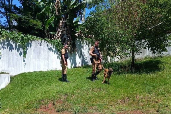 Cães de Faro do BPRV recebem certificação para detecção de entorpecentes e armas no Oeste do Paraná
