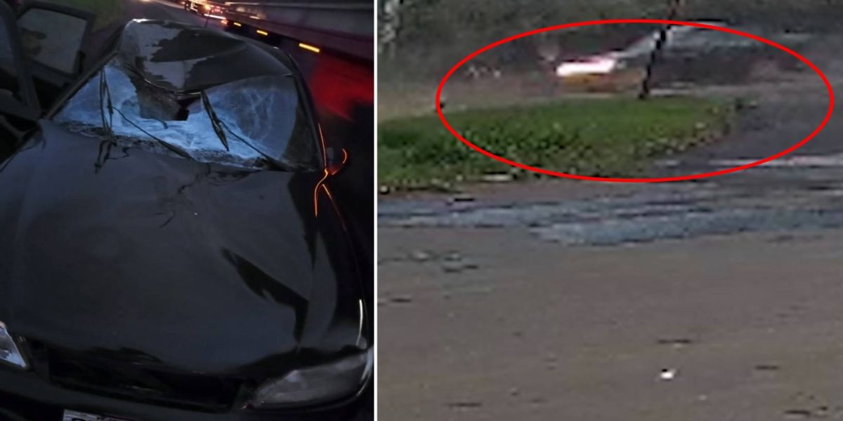Impressionante: Rodado de carreta se Solta e causa acidente na PRC-280 no sudoeste do Paraná