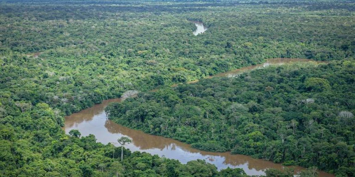 Taxa de desmatamento na Amazônia cai 22,3% em 2023