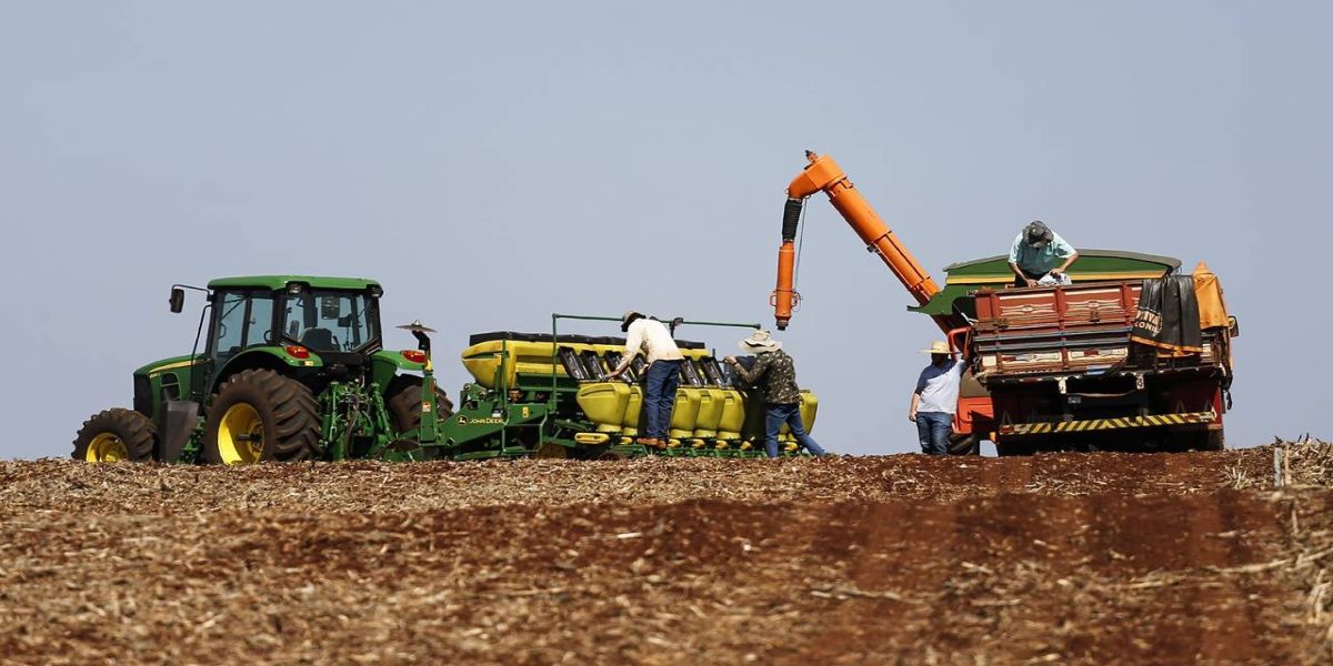 Produtores retomam plantio de culturas de verão e avaliam impactos após as chuvas