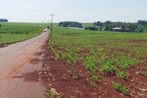 Secretário de Agricultura visita estrada readequada antes do plantio de soja em Itaipulândia