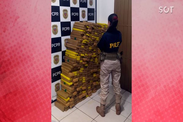 PRF apreende 415 quilos de maconha após traficante bater carro em árvore na BR-277, em Céu Azul