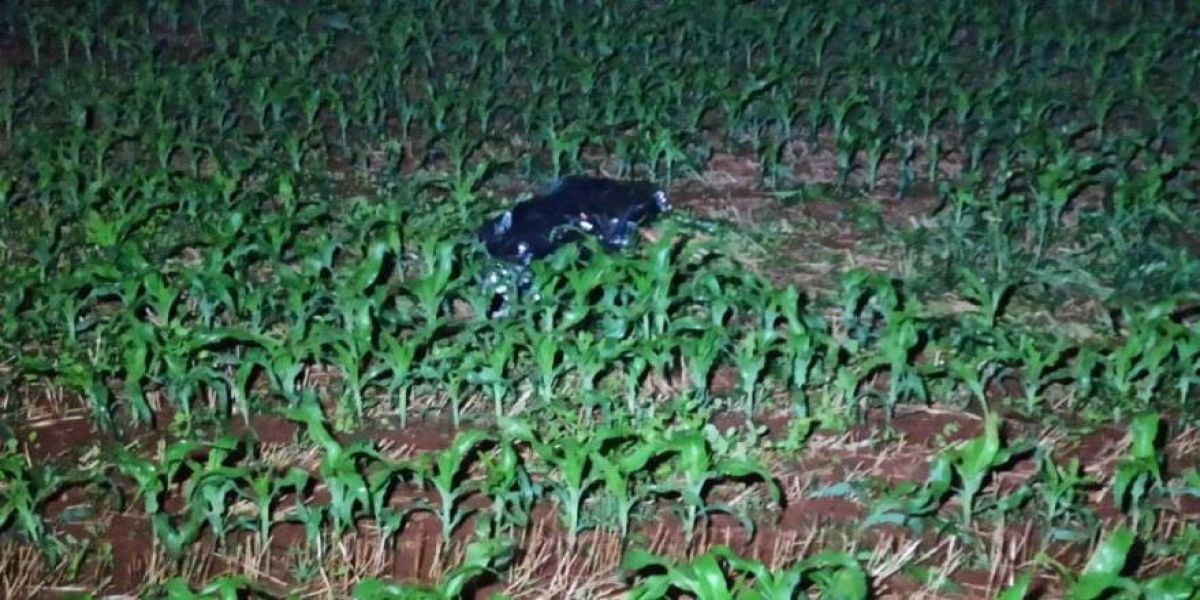 Idoso morre atropelado por Ford Ranger em estrada rural de Toledo