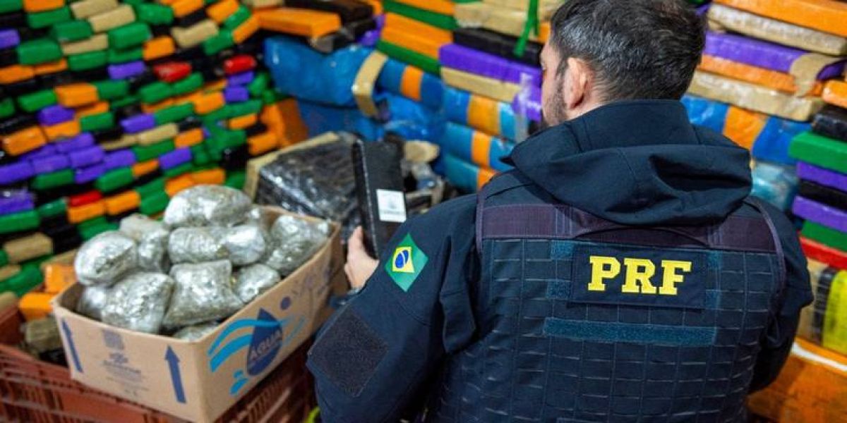 PRF bate recorde histórico em apreensão de maconha no Paraná