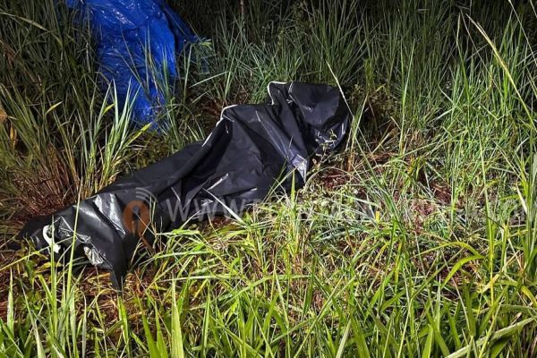 Criminosos são flagrados abrindo cova para enterrar travesti no norte do Paraná