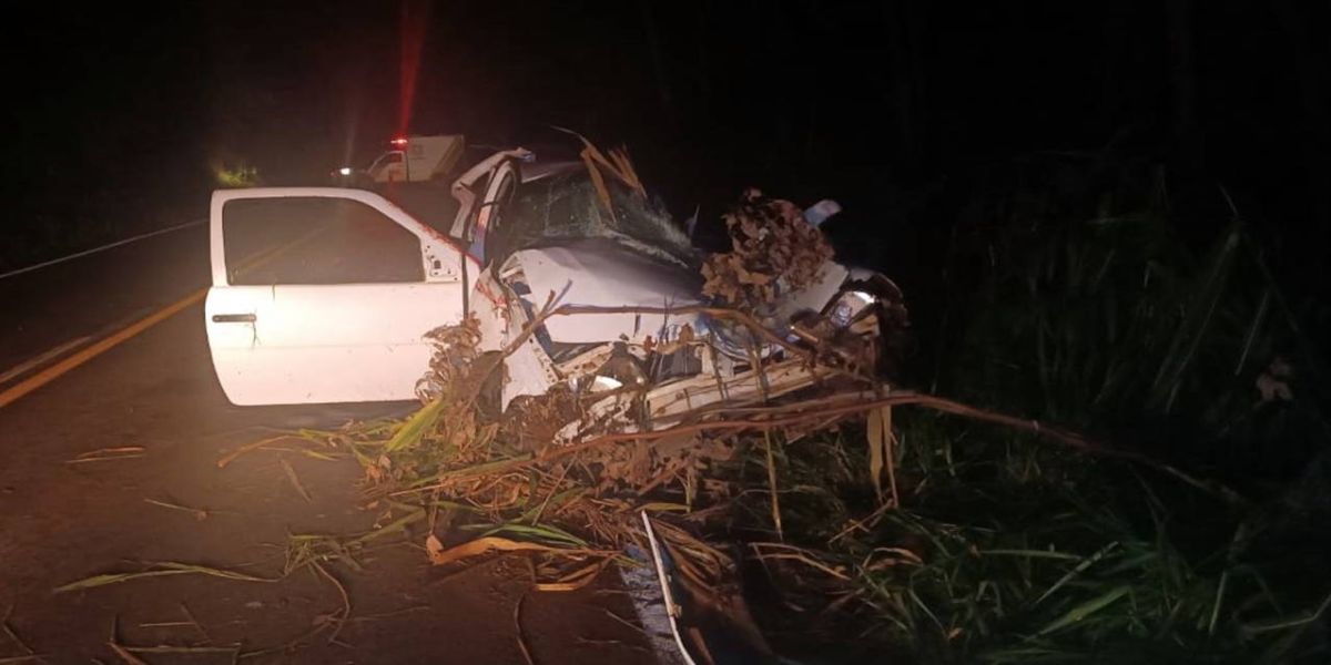 Jovem de 23 anos morre após carro sair da pista e colidir violentamente contra árvores na PR-364