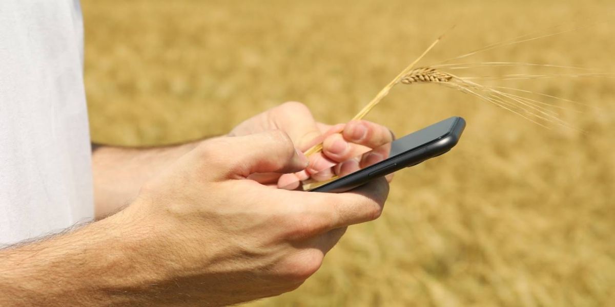 Agricultores do Paraná receberão créditos de carbono após colheita da safra 2023/2024