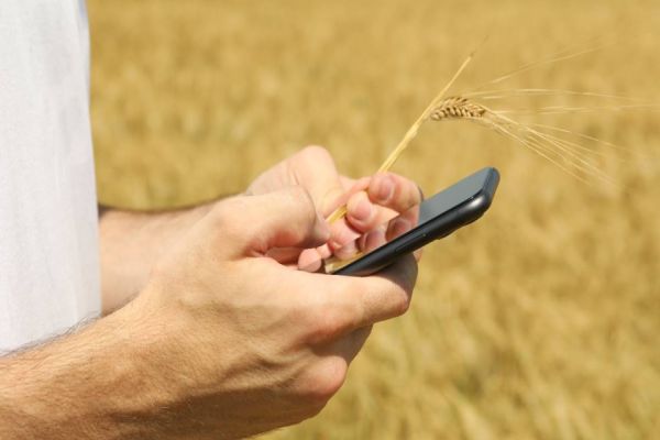 Agricultores do Paraná receberão créditos de carbono após colheita da safra 2023/2024