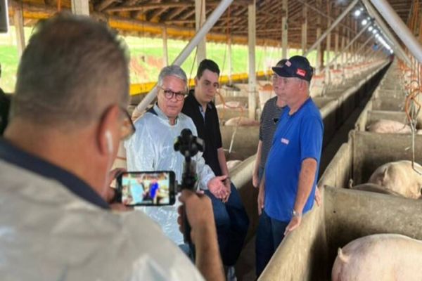 Suinocultor integrado à Coopavel vence o prêmio Orgulho da Terra