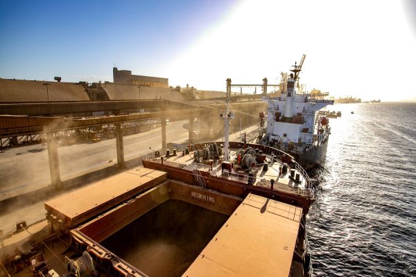 Em 10 meses, Portos do Paraná registra crescimento de 15% nas exportações