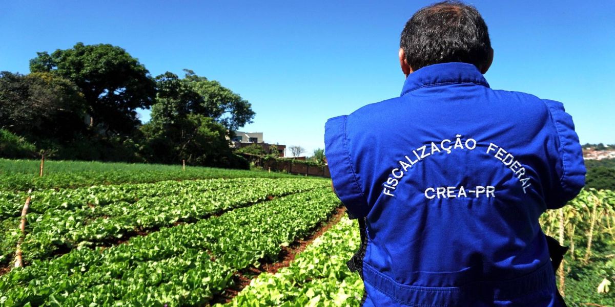 Crea-PR inicia fiscalização da Safra Verão 2023/2024