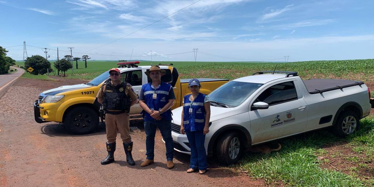 Operação entre ADAPAR e PRE reforça fiscalização e segurança na PR488 em Vera Cruz do Oeste