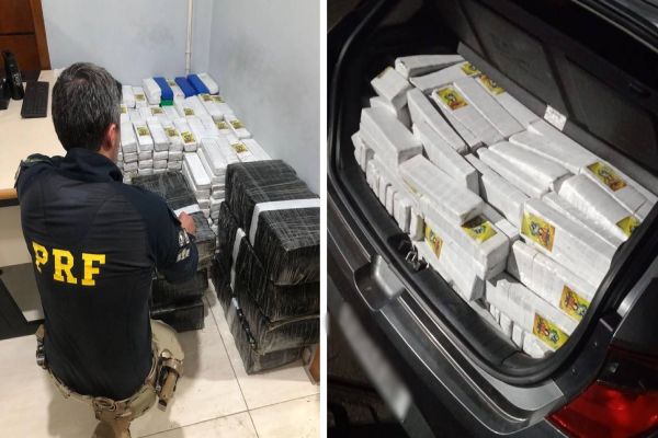 Polícia Civil e PRF apreendem 451 kg de maconha em operação conjunta em Imbituva