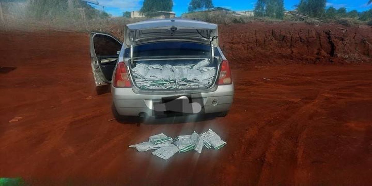 PRE apreende Logan transportando carga de veneno de origem paraguaia na PR-486 em Cascavel