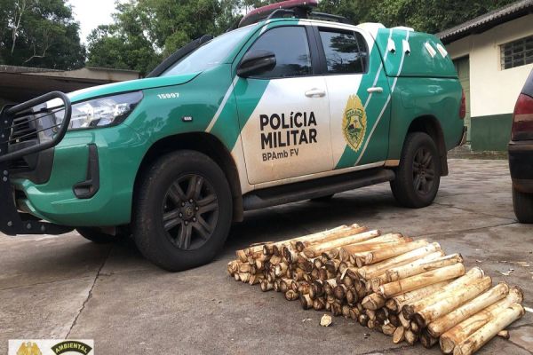 Polícia Ambiental prende indivíduo por extração ilegal de palmito no Parque Nacional do Iguaçu