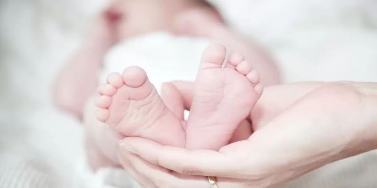 Cartórios do Paraná divulgam os nomes mais registrados em 2023