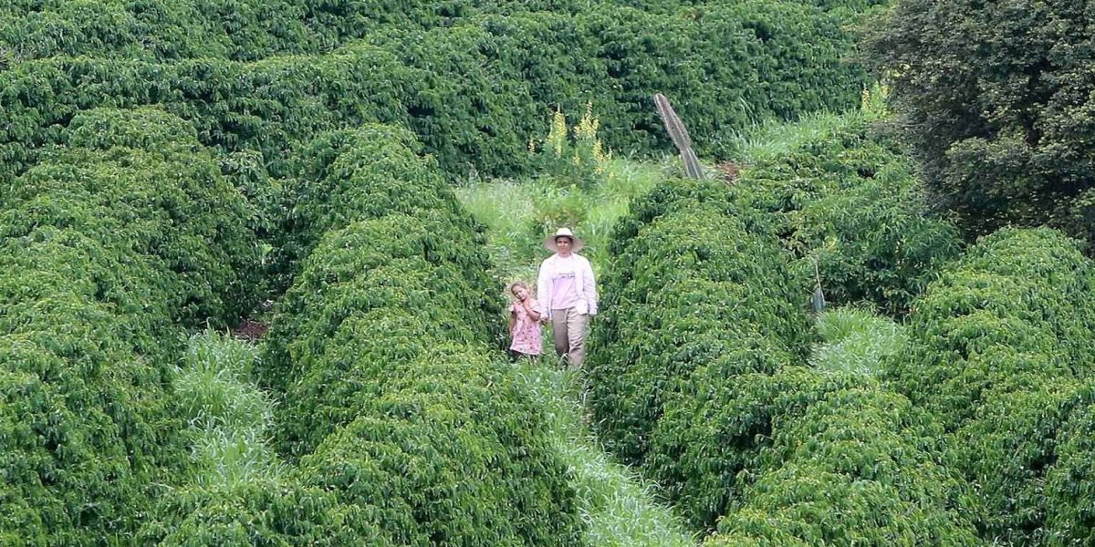 Banco do Agricultor Paranaense já financiou R$ 646 milhões em 4.180 projetos