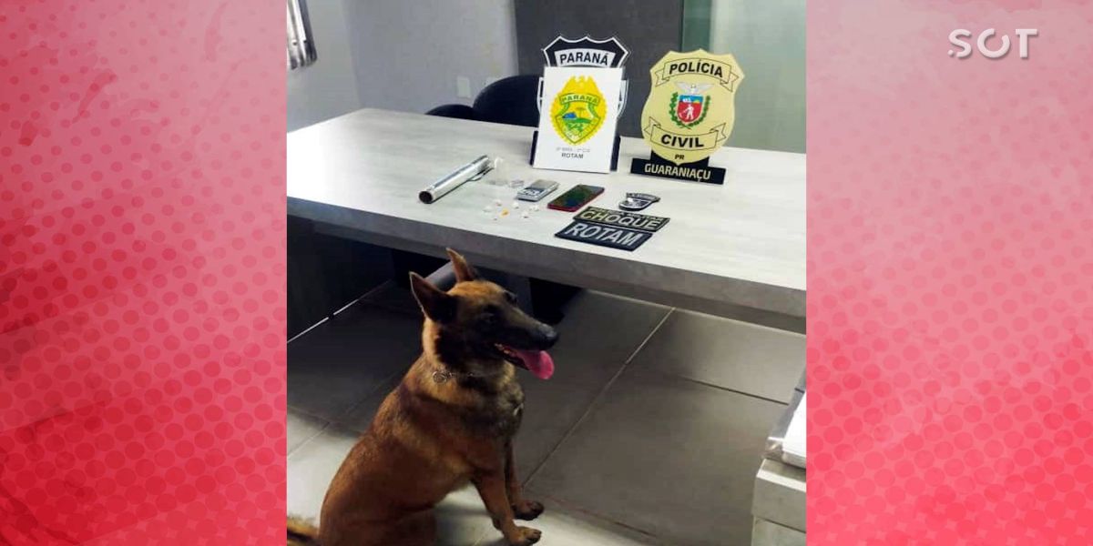 Operação Conjunta da ROTAM e do CHOQUE resulta em prisão por tráfico de drogas em Guaraniaçu