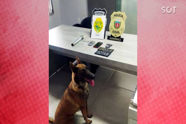 Operação Conjunta da ROTAM e do CHOQUE resulta em prisão por tráfico de drogas em Guaraniaçu